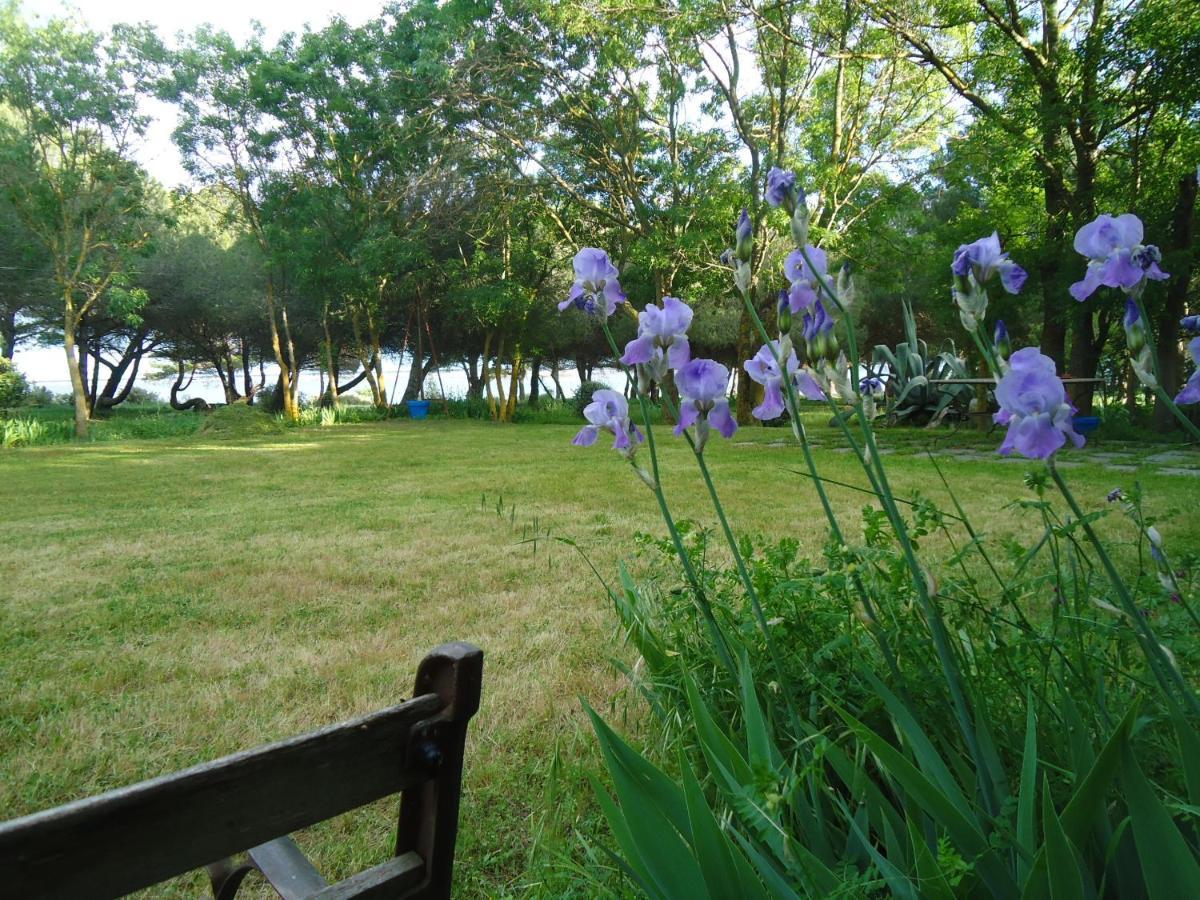 Bed and Breakfast Au Bord De Thau Marseillan  Zewnętrze zdjęcie