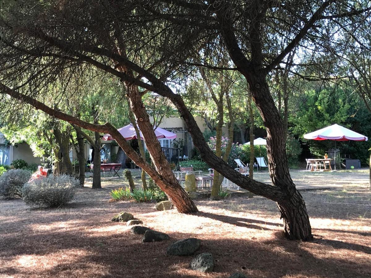 Bed and Breakfast Au Bord De Thau Marseillan  Zewnętrze zdjęcie
