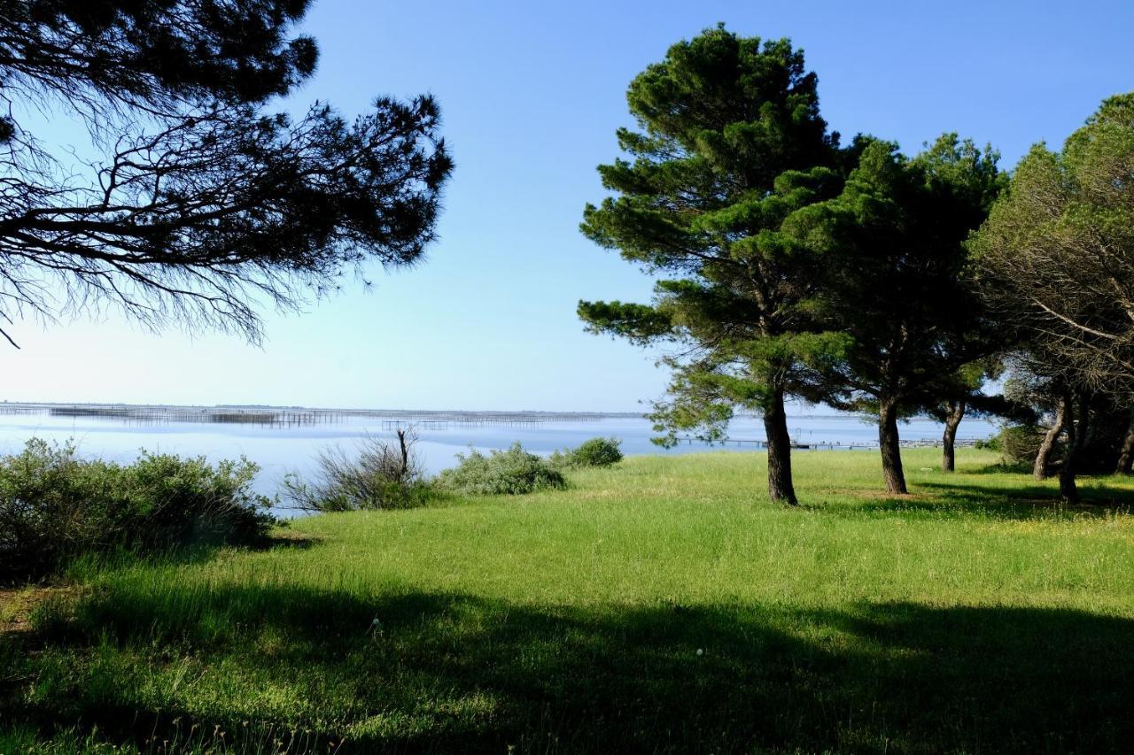 Bed and Breakfast Au Bord De Thau Marseillan  Zewnętrze zdjęcie