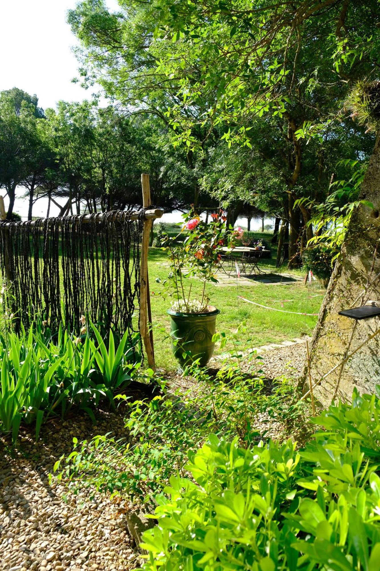 Bed and Breakfast Au Bord De Thau Marseillan  Zewnętrze zdjęcie